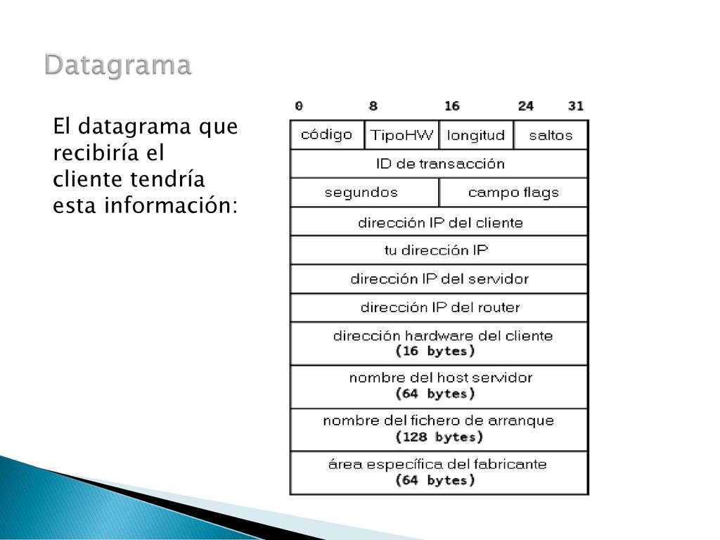 Datagrama El datagrama que recibiría el cliente tendría esta información: