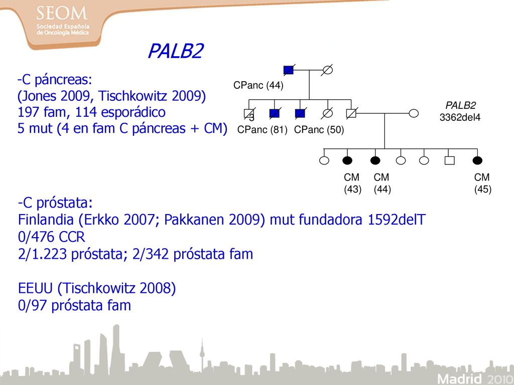 PALB2 PALB del4. CM. (43) CPanc (44) 3. CPanc (81) CPanc (50) (44) (45) -C páncreas: