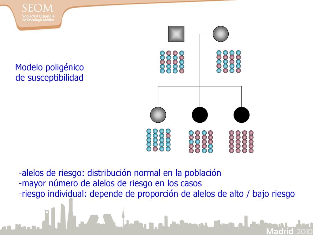 Modelo poligénico de susceptibilidad. -alelos de riesgo: distribución normal en la población. -mayor número de alelos de riesgo en los casos.