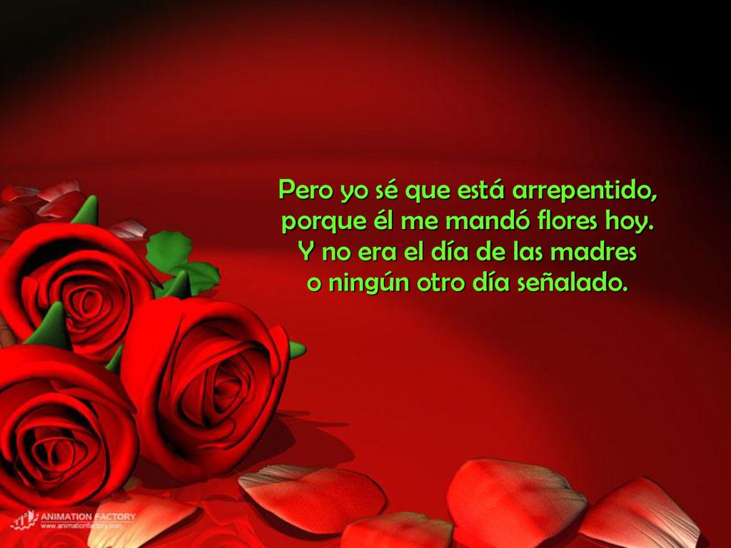 Pero yo sé que está arrepentido, porque él me mandó flores hoy.
