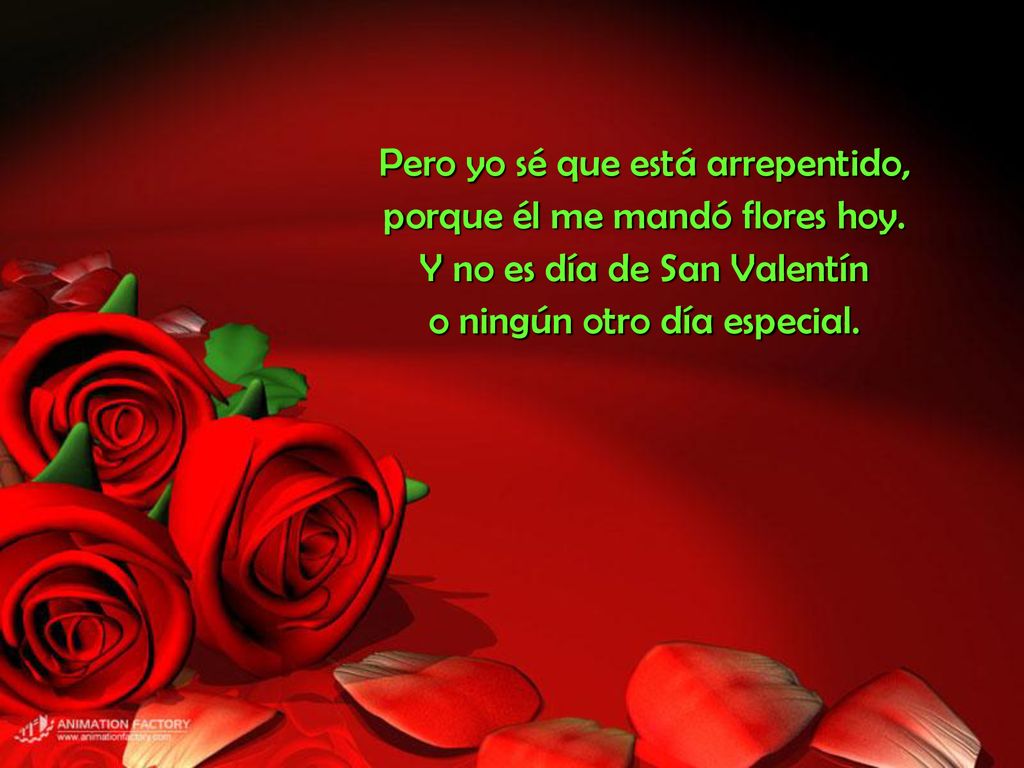 Pero yo sé que está arrepentido, porque él me mandó flores hoy.