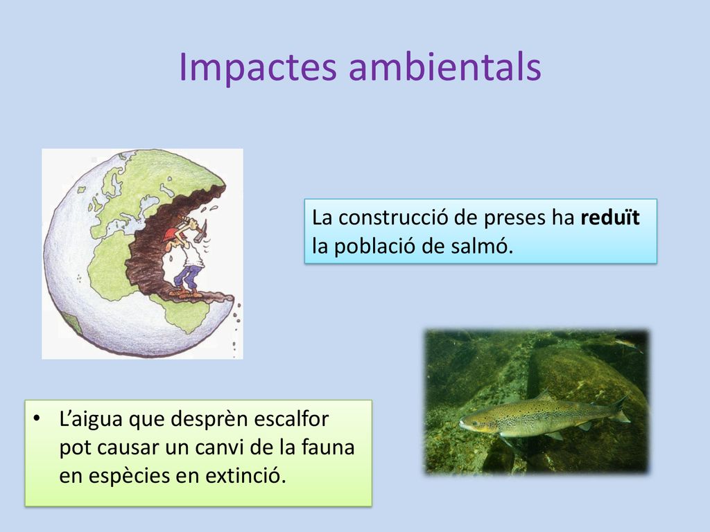 Impactes ambientals La construcció de preses ha reduït la població de salmó.