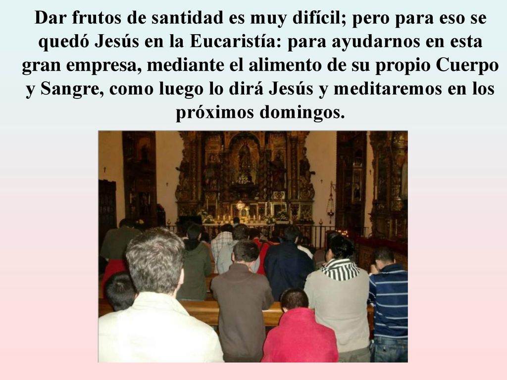 Dar frutos de santidad es muy difícil; pero para eso se quedó Jesús en la Eucaristía: para ayudarnos en esta gran empresa, mediante el alimento de su propio Cuerpo y Sangre, como luego lo dirá Jesús y meditaremos en los próximos domingos.