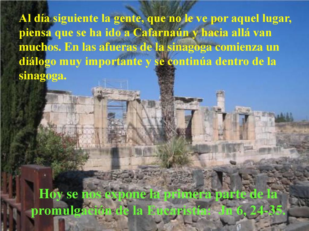 Al día siguiente la gente, que no le ve por aquel lugar, piensa que se ha ido a Cafarnaún y hacia allá van muchos. En las afueras de la sinagoga comienza un diálogo muy importante y se continúa dentro de la sinagoga.