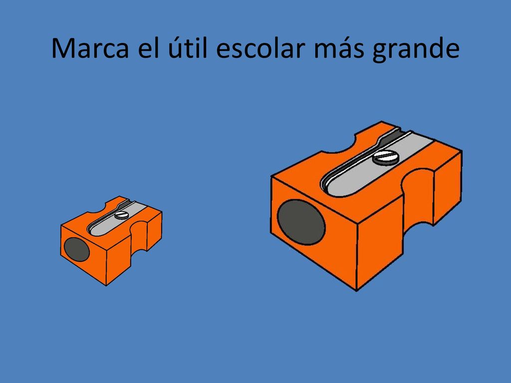 Marca el útil escolar más grande