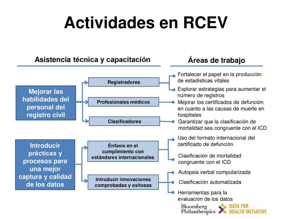 Actividades en RCEV Asistencia técnica y capacitación Áreas de trabajo
