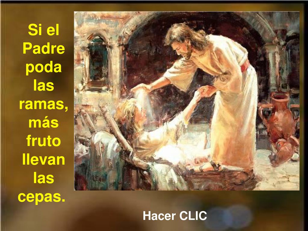 Si el Padre poda las ramas, más fruto llevan las cepas.