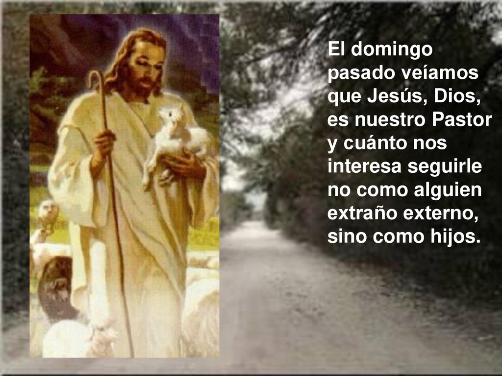 El domingo pasado veíamos que Jesús, Dios, es nuestro Pastor y cuánto nos interesa seguirle no como alguien extraño externo, sino como hijos.