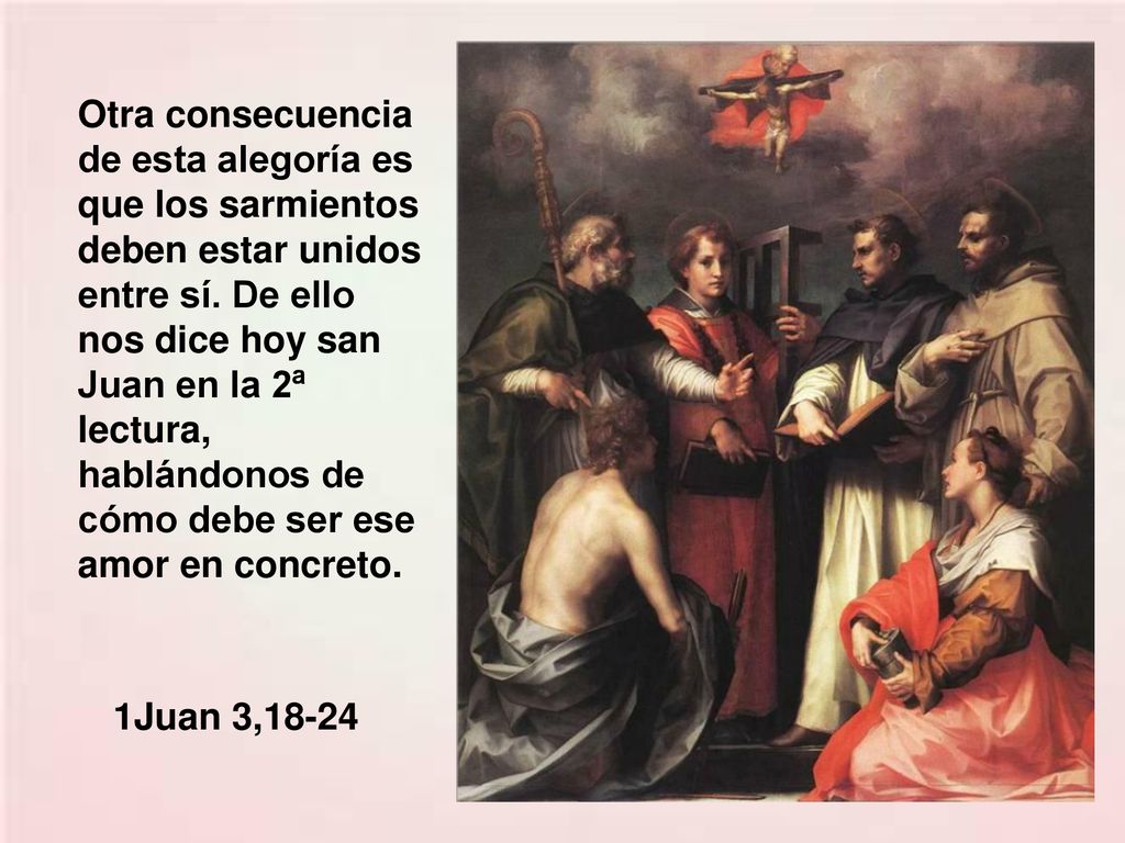 Otra consecuencia de esta alegoría es que los sarmientos deben estar unidos entre sí. De ello nos dice hoy san Juan en la 2ª lectura, hablándonos de cómo debe ser ese amor en concreto.