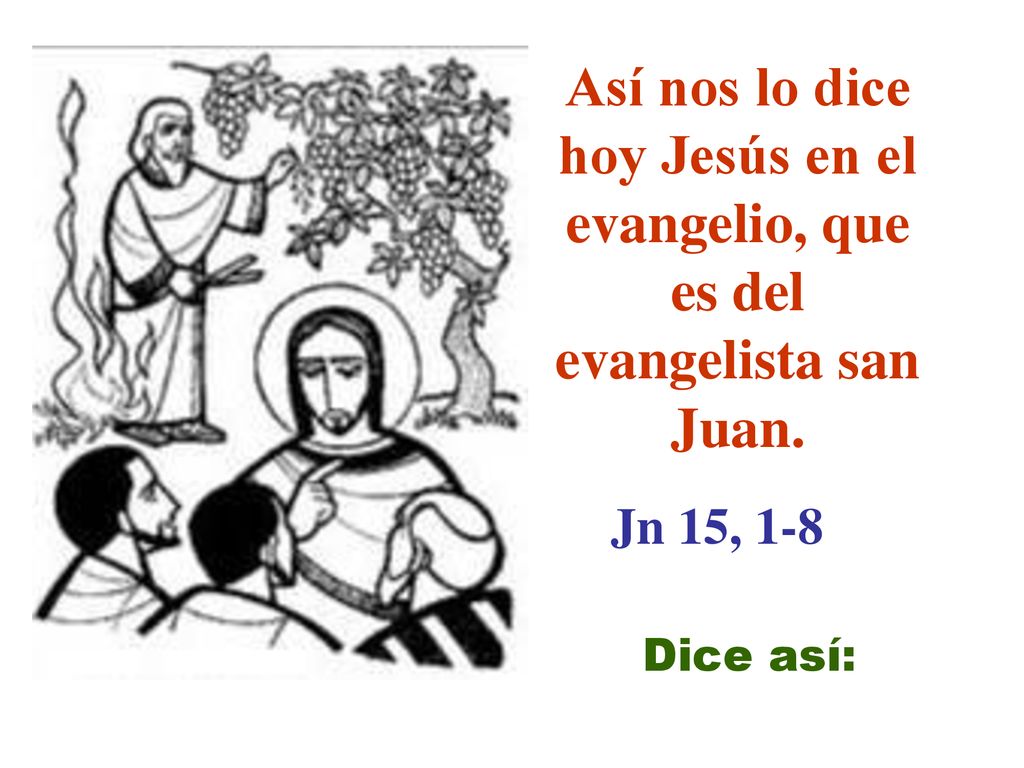 Así nos lo dice hoy Jesús en el evangelio, que es del evangelista san Juan.