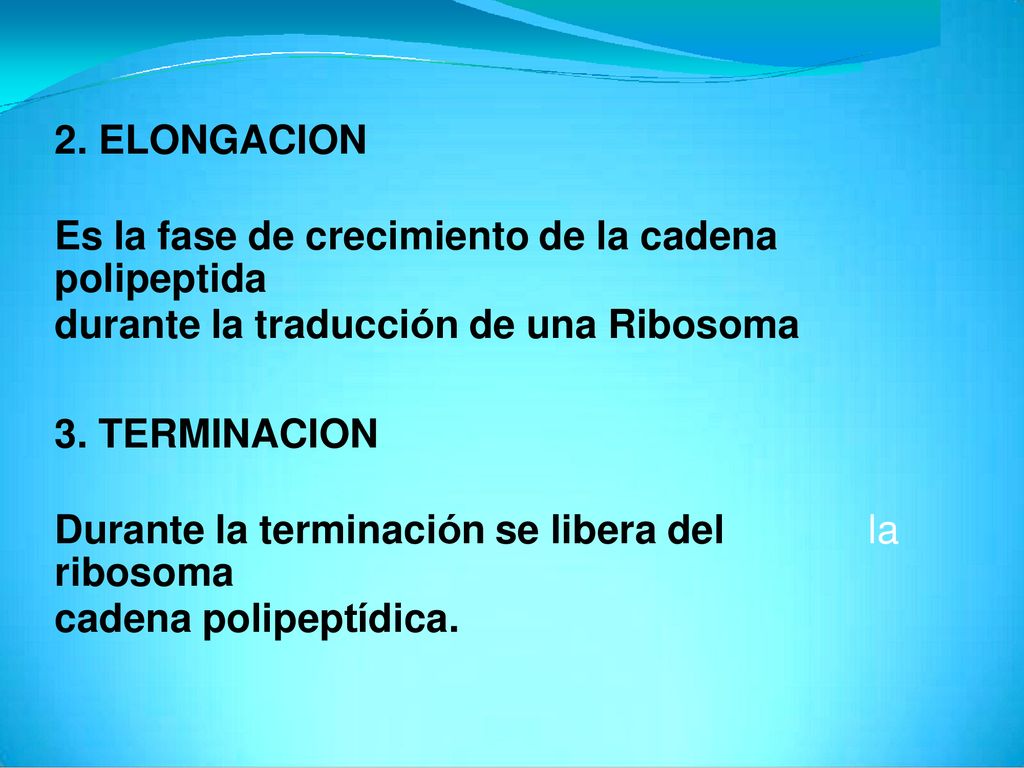 2. ELONGACION Es la fase de crecimiento de la cadena polipeptida. durante la traducción de una Ribosoma.