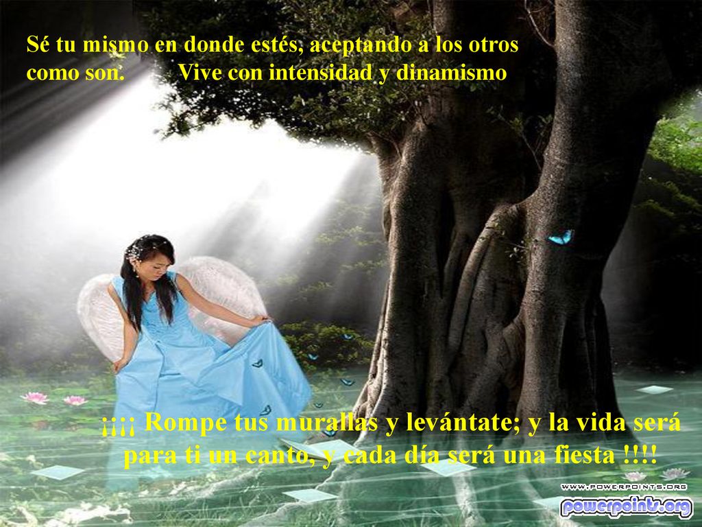Sé tu mismo en donde estés, aceptando a los otros como son