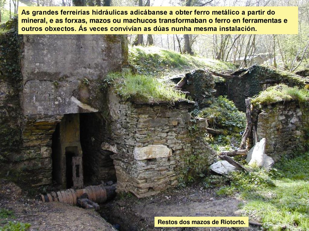 As grandes ferreirías hidráulicas adicábanse a obter ferro metálico a partir do mineral, e as forxas, mazos ou machucos transformaban o ferro en ferramentas e outros obxectos. Ás veces convivían as dúas nunha mesma instalación.