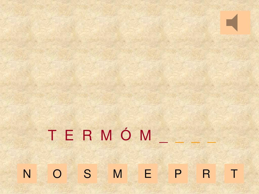 T E R M Ó M _ _ _ _ N O S M E P R T