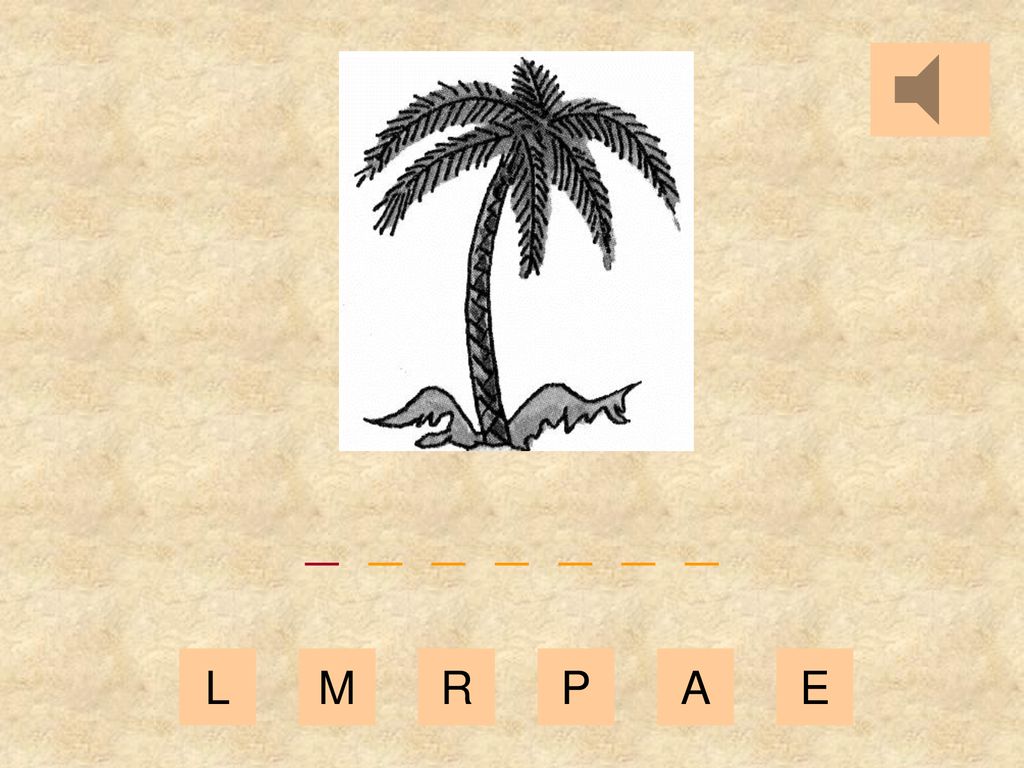 _ _ _ _ _ _ _ L M R P A E