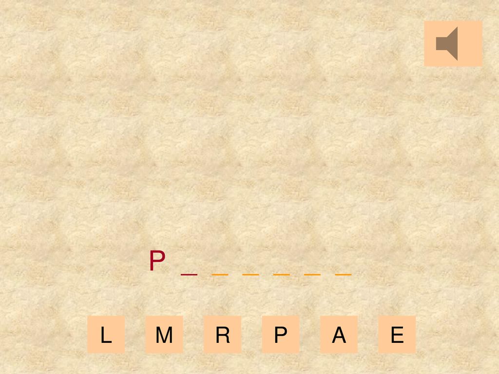P _ _ _ _ _ _ L M R P A E