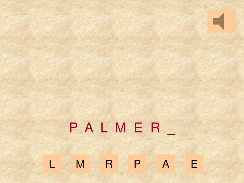 P A L M E R _ L M R P A E