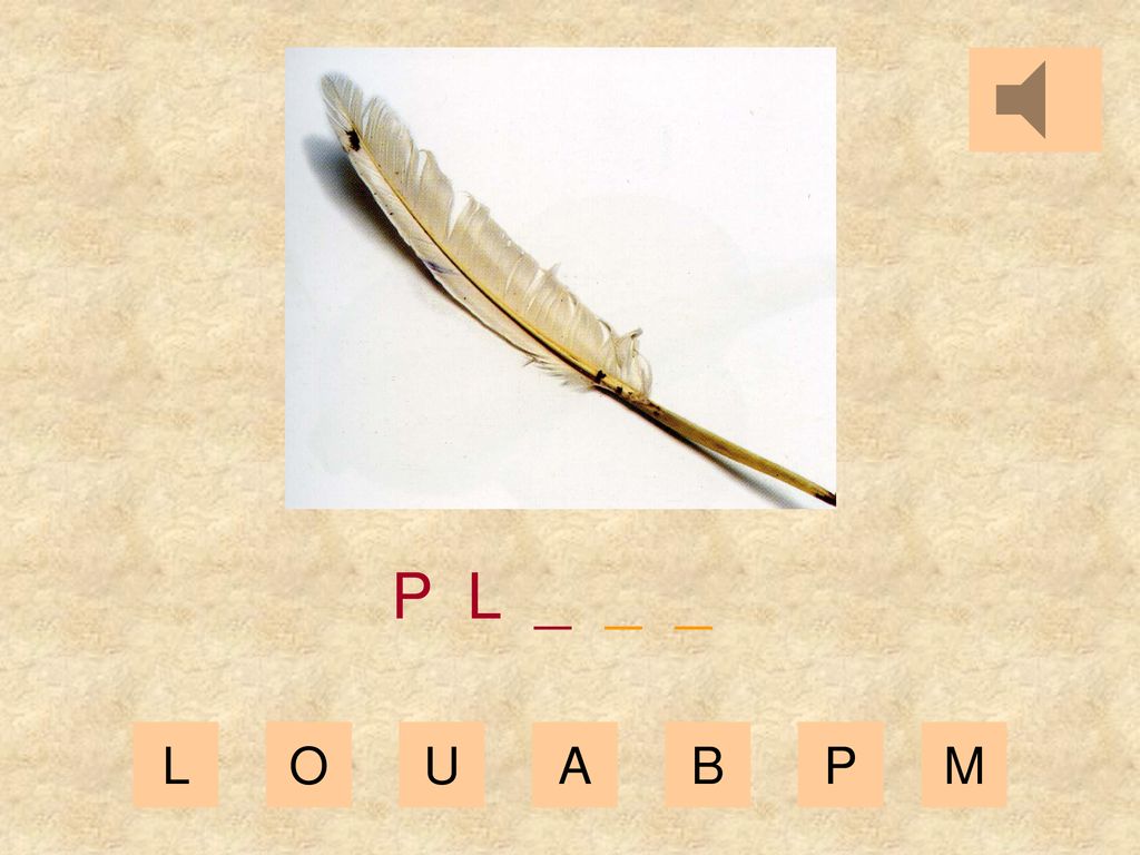 P L _ _ _ L O U A B P M