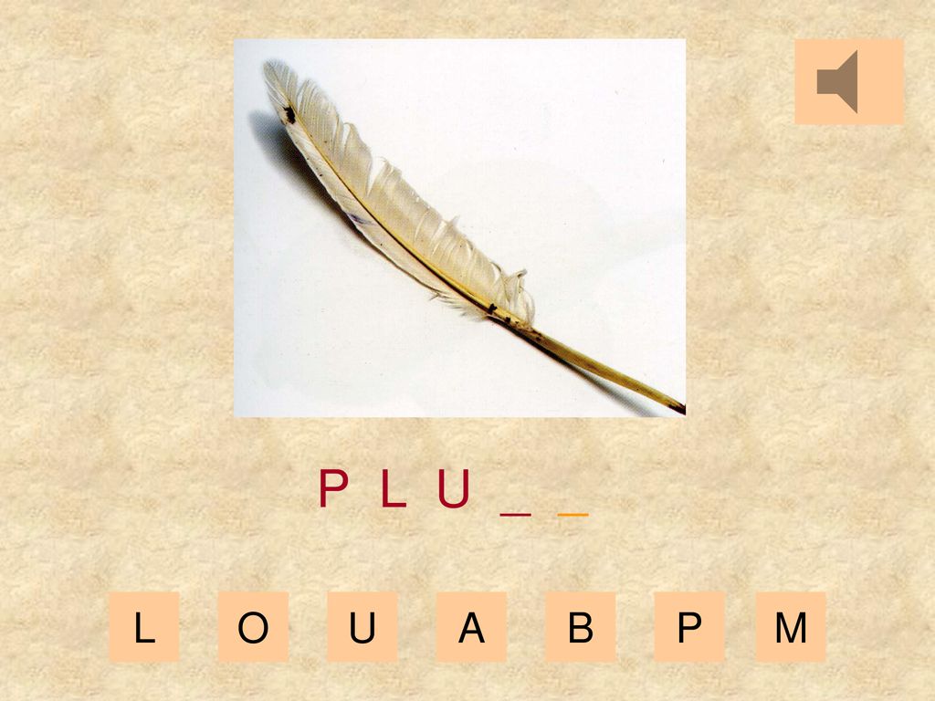 P L U _ _ L O U A B P M