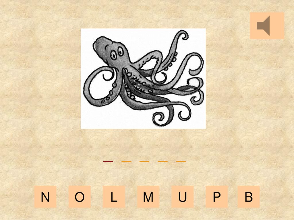 _ _ _ _ _ N O L M U P B