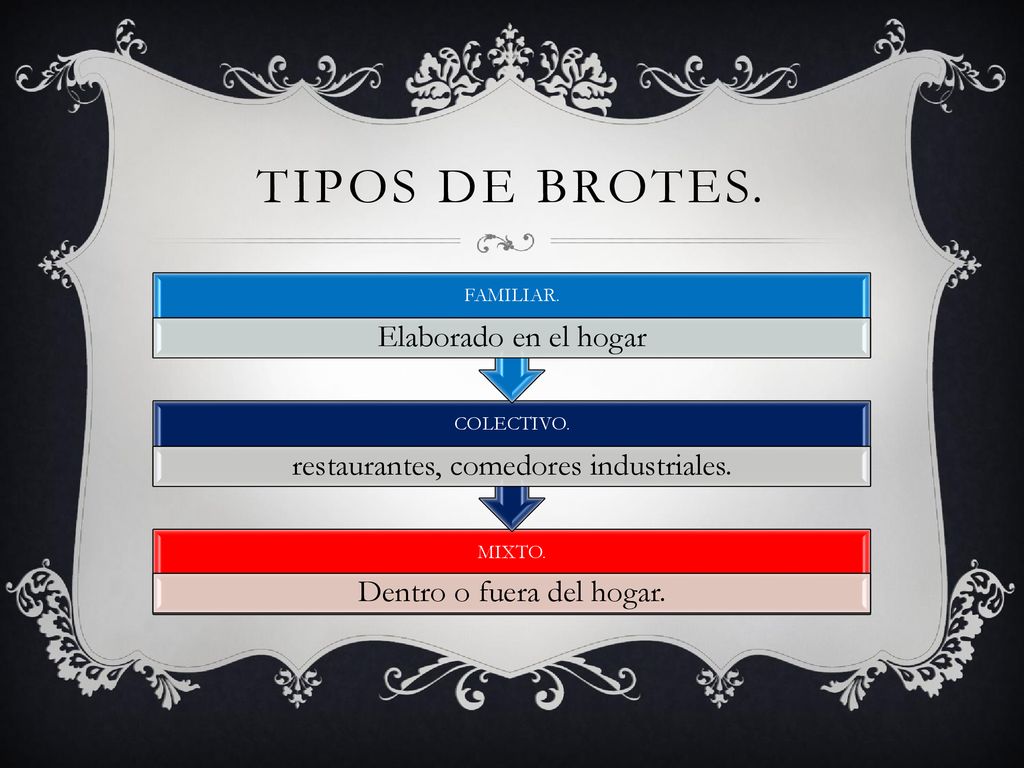 TIPOS DE BROTES. Elaborado en el hogar