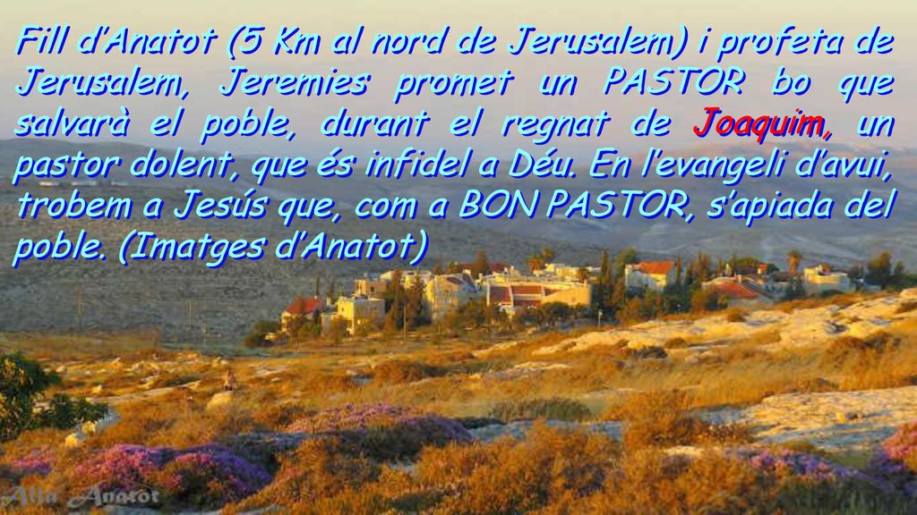 Fill d’Anatot (5 Km al nord de Jerusalem) i profeta de Jerusalem, Jeremies promet un PASTOR bo que salvarà el poble, durant el regnat de Joaquim, un pastor dolent, que és infidel a Déu.