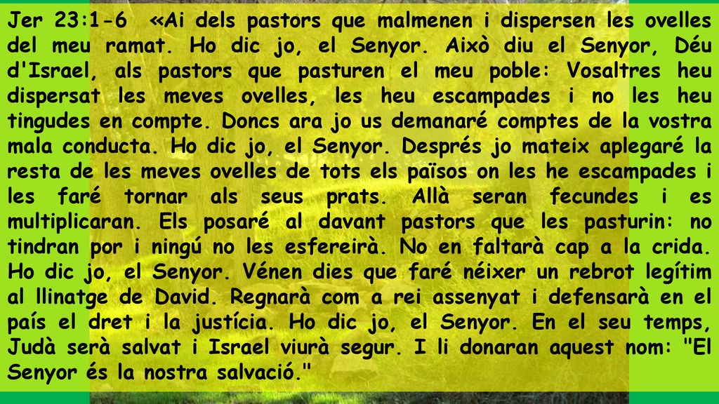 Jer 23:1-6 «Ai dels pastors que malmenen i dispersen les ovelles del meu ramat.