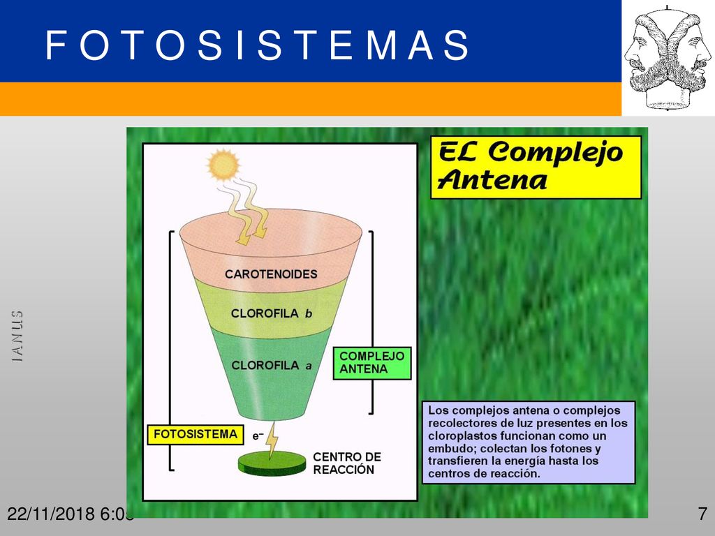 F O T O S I S T E M A S 22/11/2018 6:05
