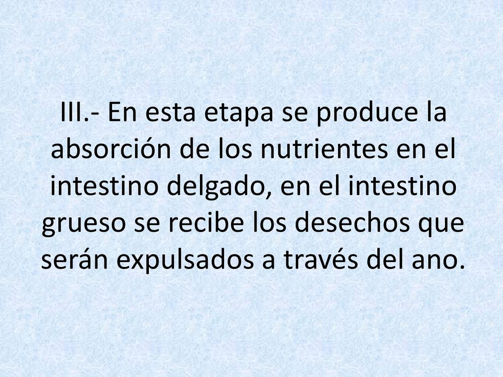 III.- En esta etapa se produce la absorción de los nutrientes en el intestino delgado, en el intestino grueso se recibe los desechos que serán expulsados a través del ano.