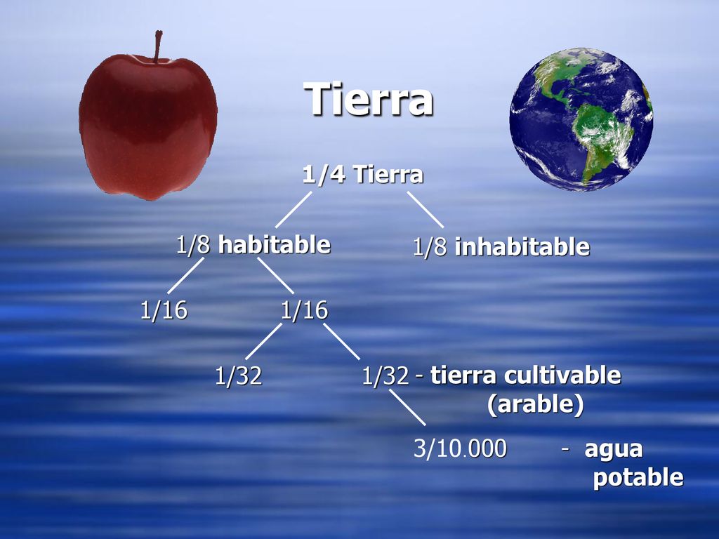 Tierra 1/4 Tierra 1/8 habitable 1/8 inhabitable 1/16 1/16 1/32 1/32