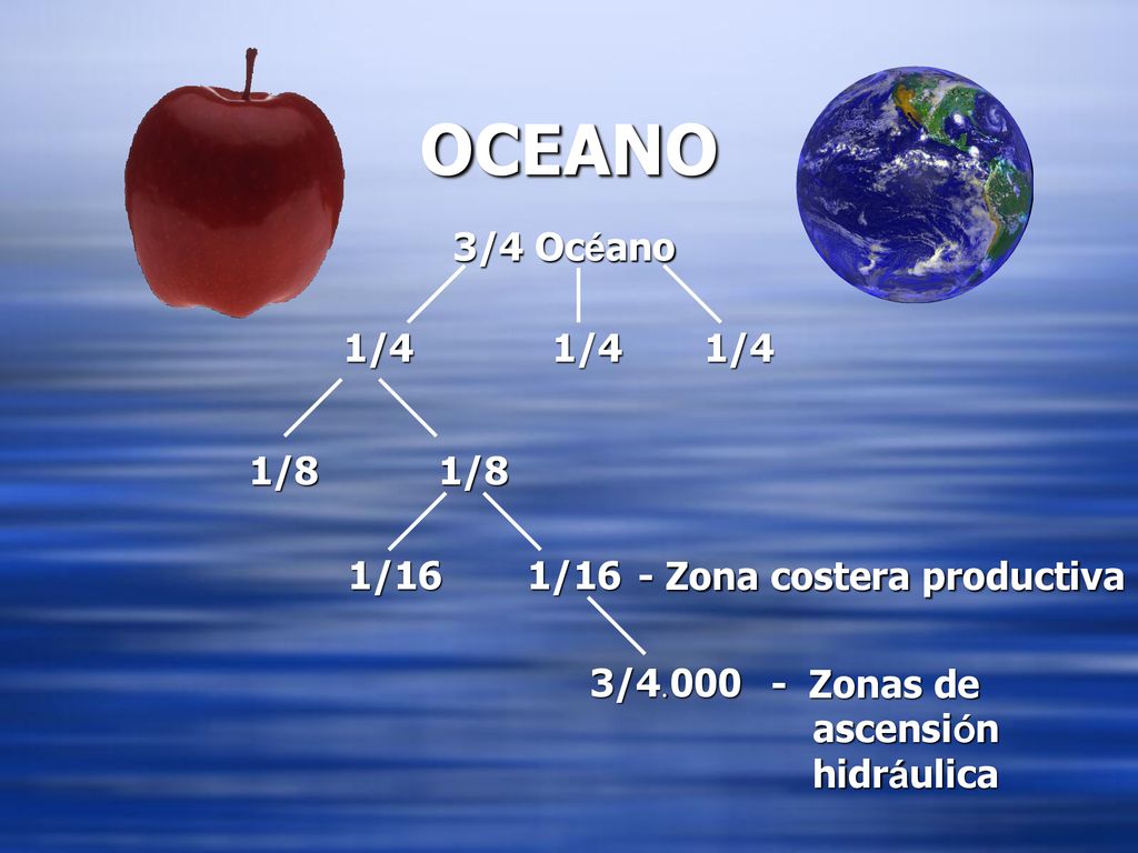 OCEANO 3/4 Océano 1/4 1/4 1/4 1/8 1/8 1/16 1/16