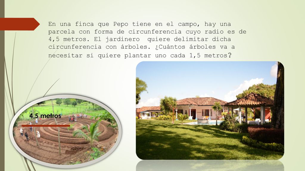 En una finca que Pepo tiene en el campo, hay una parcela con forma de circunferencia cuyo radio es de 4,5 metros. El jardinero quiere delimitar dicha circunferencia con árboles. ¿Cuántos árboles va a necesitar si quiere plantar uno cada 1,5 metros