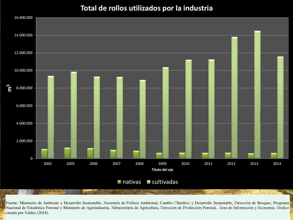 Fuente: Ministerio de Ambiente y Desarrollo Sustentable, Secretaría de Política Ambiental, Cambio Climático y Desarrollo Sustentable, Dirección de Bosques, Programa Nacional de Estadística Forestal y Ministerio de Agroindustria, Subsecretaría de Agricultura, Dirección de Producción Forestal, Área de Información y Economía.