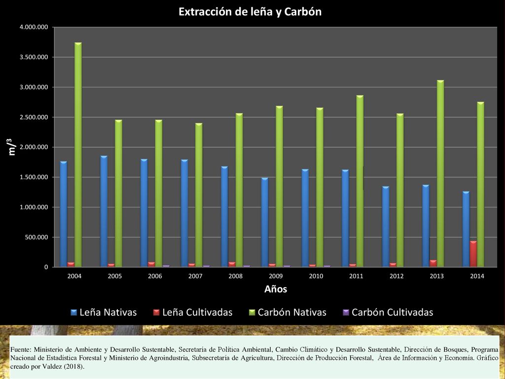 Fuente: Ministerio de Ambiente y Desarrollo Sustentable, Secretaría de Política Ambiental, Cambio Climático y Desarrollo Sustentable, Dirección de Bosques, Programa Nacional de Estadística Forestal y Ministerio de Agroindustria, Subsecretaría de Agricultura, Dirección de Producción Forestal, Área de Información y Economía.