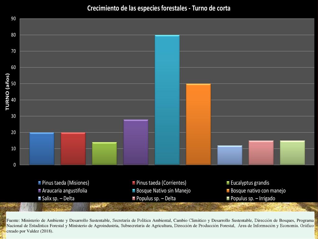 Fuente: Ministerio de Ambiente y Desarrollo Sustentable, Secretaría de Política Ambiental, Cambio Climático y Desarrollo Sustentable, Dirección de Bosques, Programa Nacional de Estadística Forestal y Ministerio de Agroindustria, Subsecretaría de Agricultura, Dirección de Producción Forestal, Área de Información y Economía.