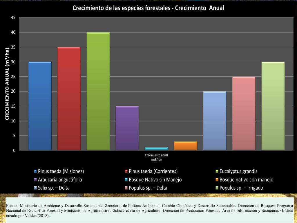 Fuente: Ministerio de Ambiente y Desarrollo Sustentable, Secretaría de Política Ambiental, Cambio Climático y Desarrollo Sustentable, Dirección de Bosques, Programa Nacional de Estadística Forestal y Ministerio de Agroindustria, Subsecretaría de Agricultura, Dirección de Producción Forestal, Área de Información y Economía.