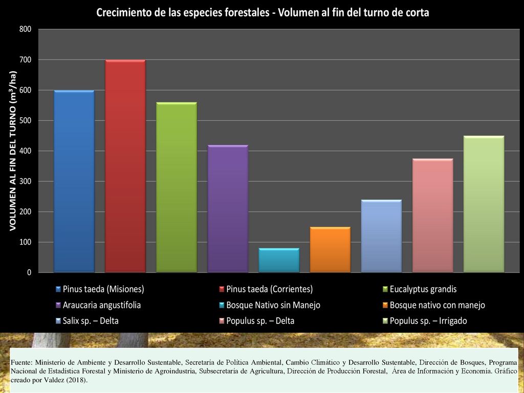 Fuente: Ministerio de Ambiente y Desarrollo Sustentable, Secretaría de Política Ambiental, Cambio Climático y Desarrollo Sustentable, Dirección de Bosques, Programa Nacional de Estadística Forestal y Ministerio de Agroindustria, Subsecretaría de Agricultura, Dirección de Producción Forestal, Área de Información y Economía.