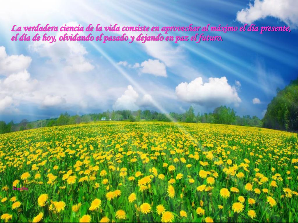 La verdadera ciencia de la vida consiste en aprovechar al máximo el día presente, el día de hoy, olvidando el pasado y dejando en paz el futuro.