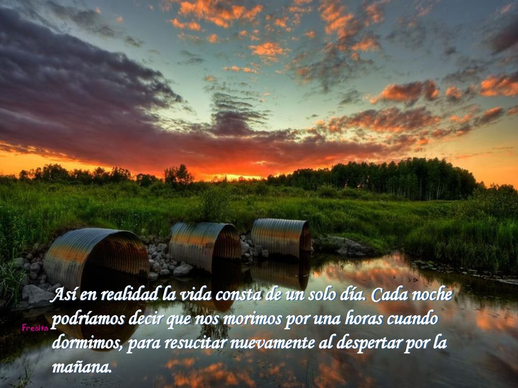 Así en realidad la vida consta de un solo día