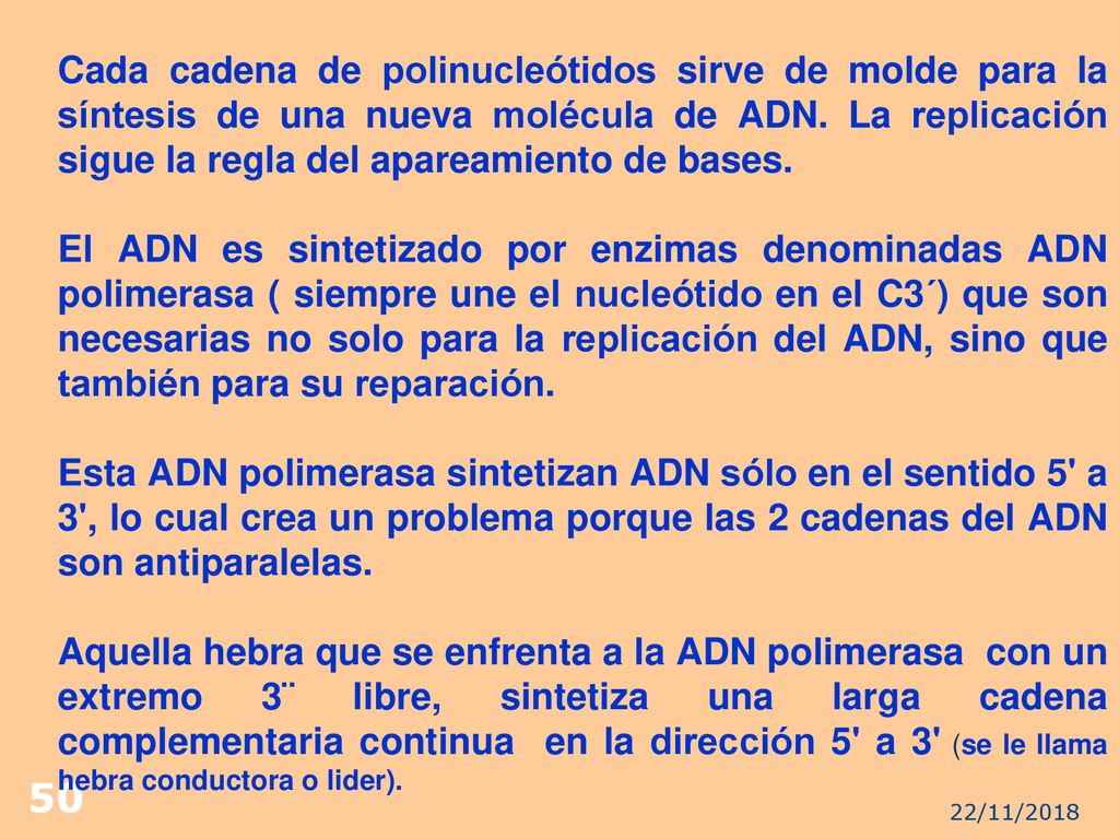 Cada cadena de polinucleótidos sirve de molde para la síntesis de una nueva molécula de ADN. La replicación sigue la regla del apareamiento de bases.