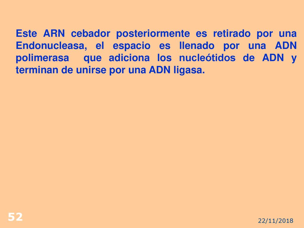 Este ARN cebador posteriormente es retirado por una Endonucleasa, el espacio es llenado por una ADN polimerasa que adiciona los nucleótidos de ADN y terminan de unirse por una ADN ligasa.