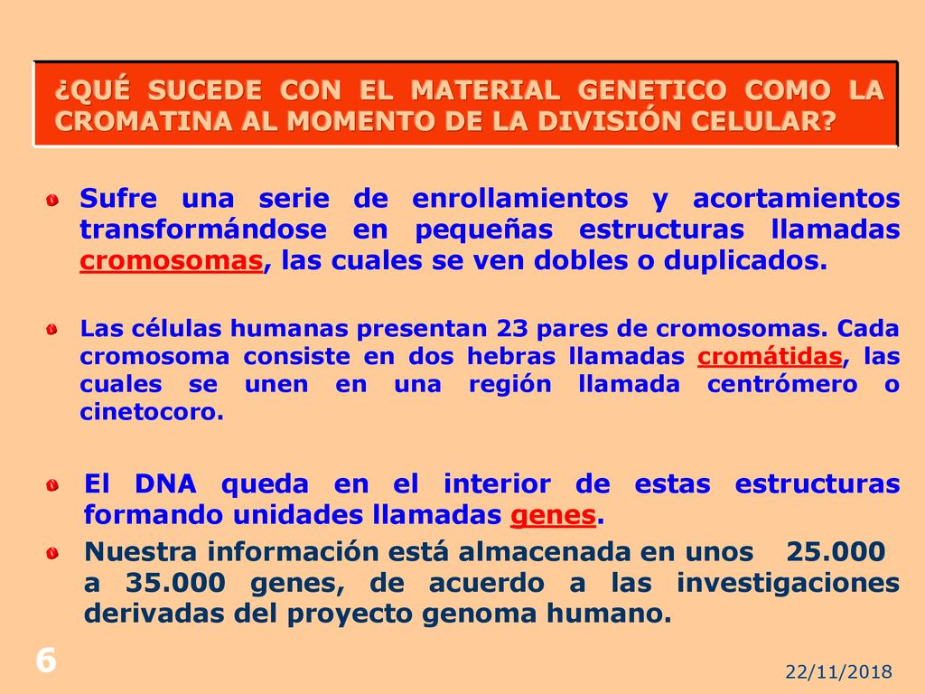 ¿QUÉ SUCEDE CON EL MATERIAL GENETICO COMO LA CROMATINA AL MOMENTO DE LA DIVISIÓN CELULAR