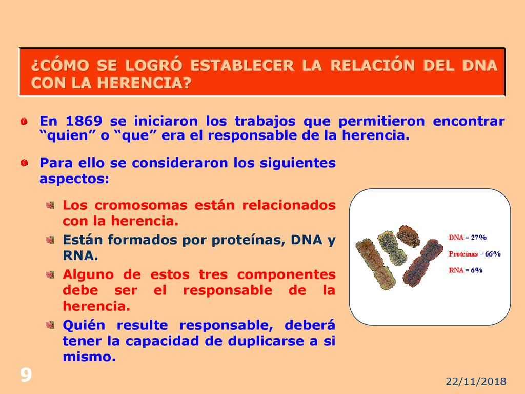 ¿CÓMO SE LOGRÓ ESTABLECER LA RELACIÓN DEL DNA CON LA HERENCIA