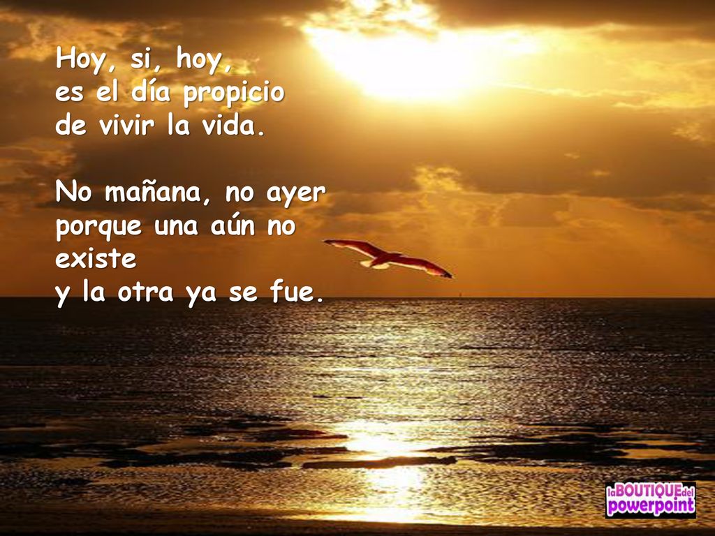Hoy, si, hoy, es el día propicio de vivir la vida