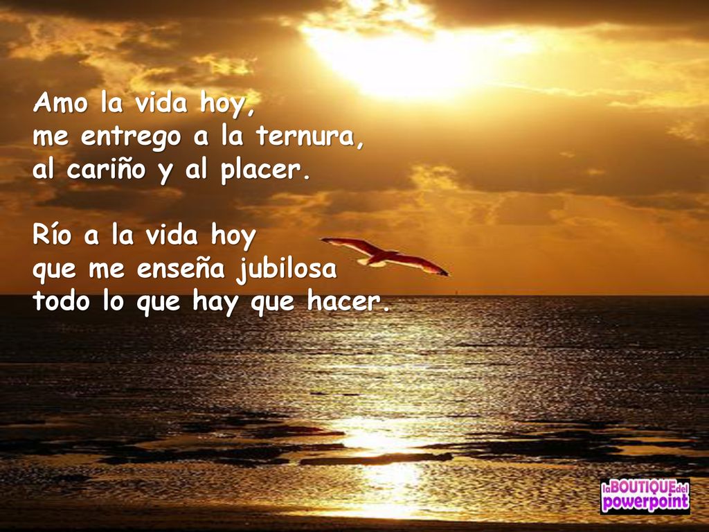 Amo la vida hoy, me entrego a la ternura, al cariño y al placer