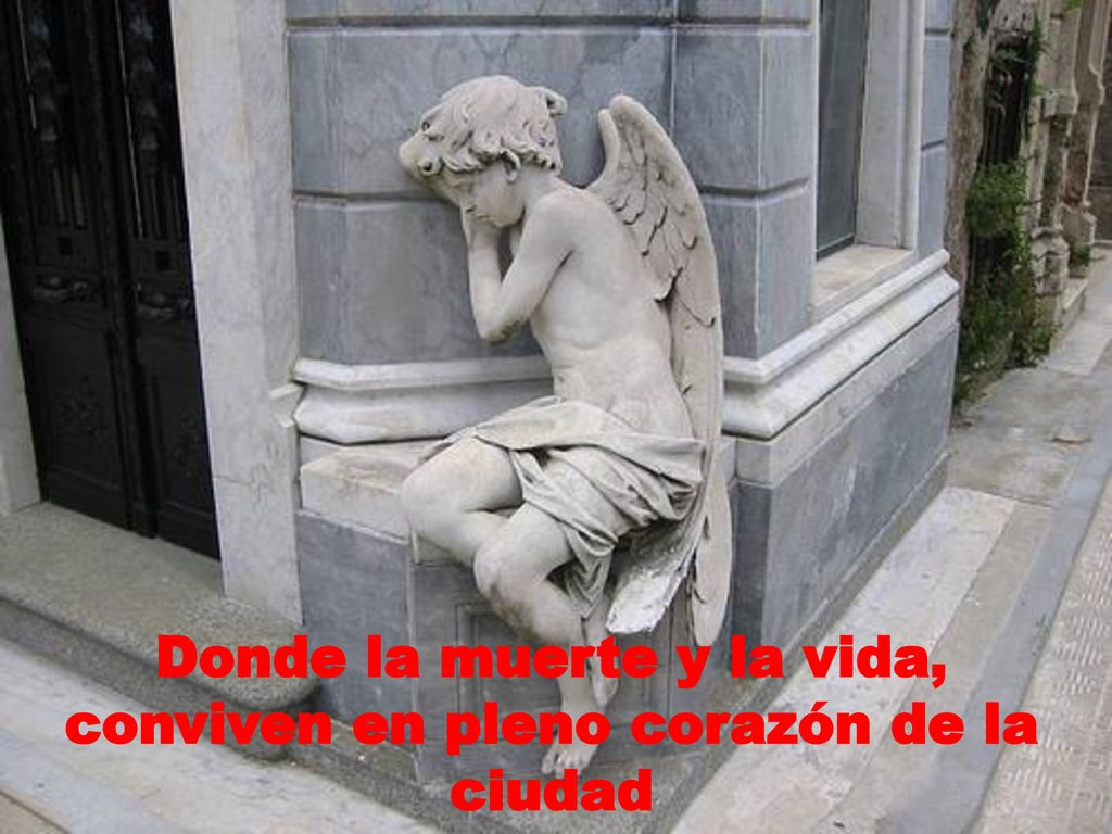 Donde la muerte y la vida, conviven en pleno corazón de la ciudad