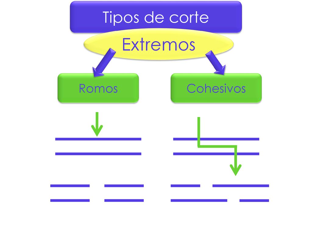 Tipos de corte Extremos Romos Cohesivos