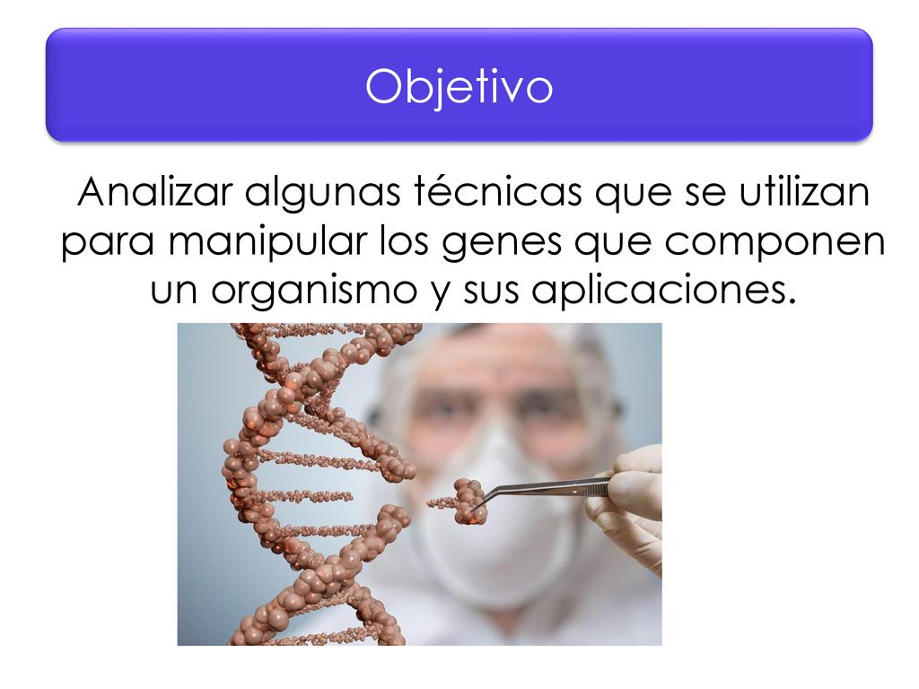 Objetivo Analizar algunas técnicas que se utilizan para manipular los genes que componen un organismo y sus aplicaciones.
