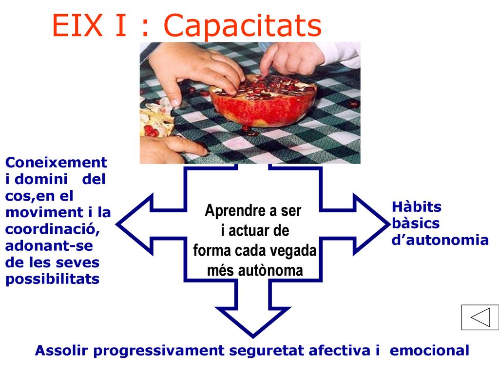 EIX I : Capacitats Aprendre a ser i actuar de forma cada vegada