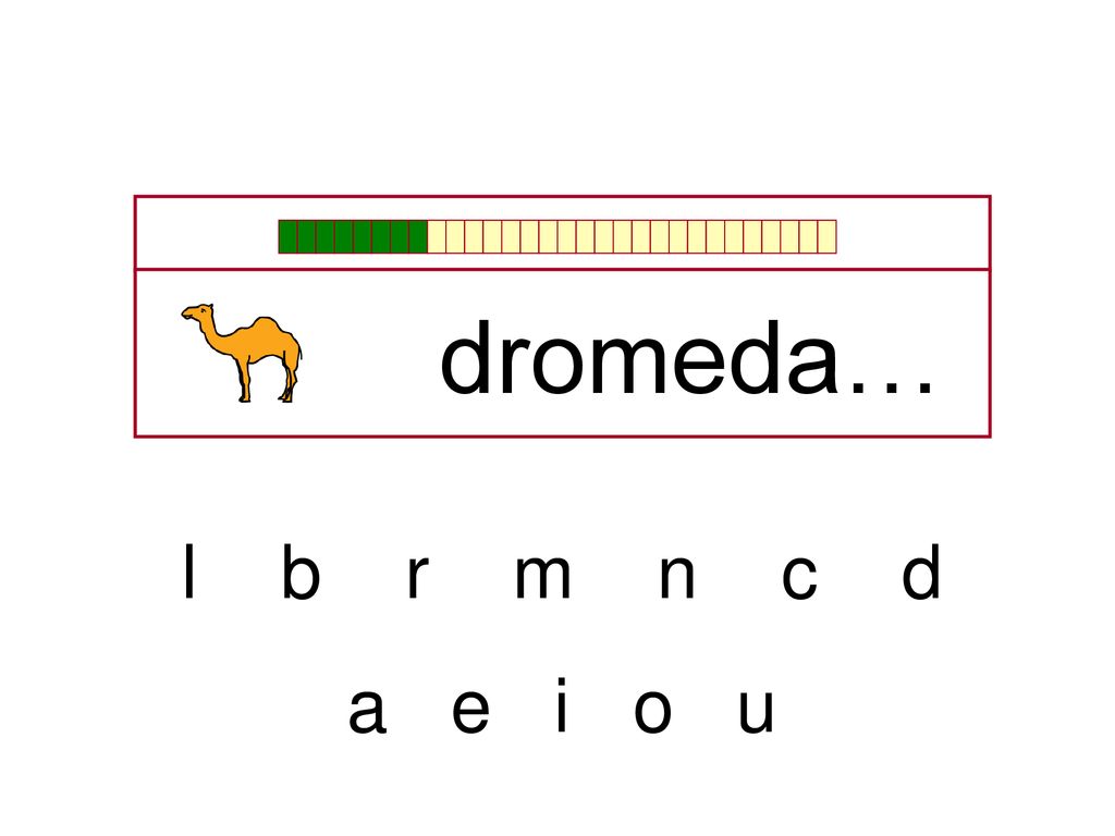 dromeda… l b r m n c d a e i o u